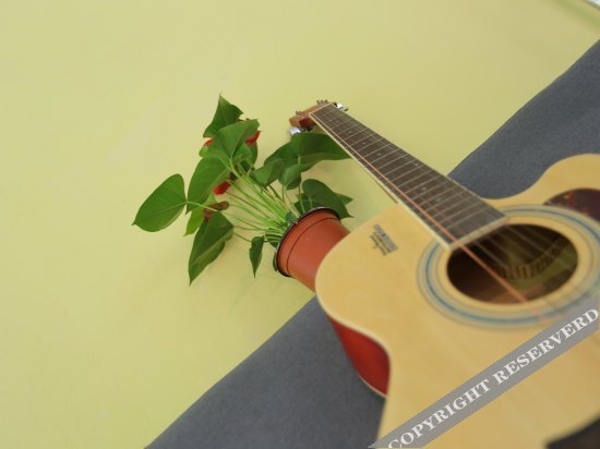 Шэньчжэнь: Shenzhen Time Coast Youth Hostel
