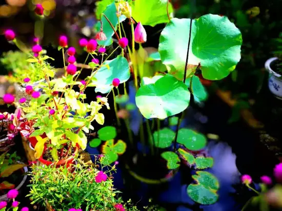 Хучжоу: Mogan Mountain Yunxi Jian Boutique Hostel