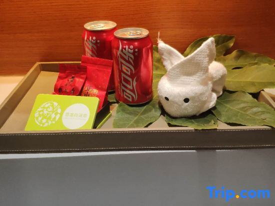 Чанчжоу: Changzhou Dinosaur Valley Hot Spring Hotel