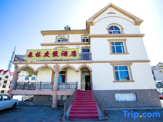 Аршан: Aershan Forest Resort (Aershan Railway Station City Government Branch)
