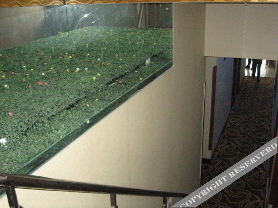 Циндао: Qingdao Yasai Business Hotel