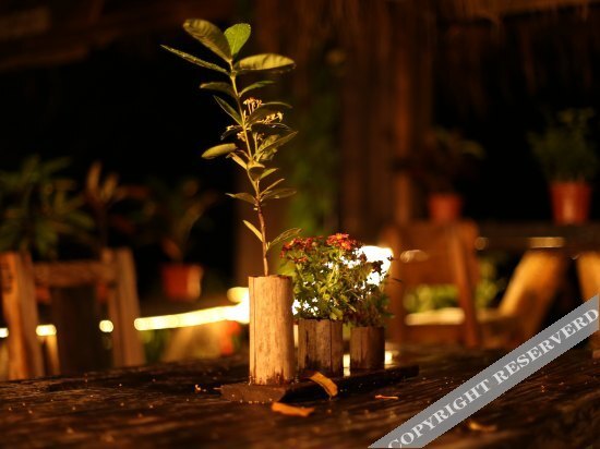 Шэньчжэнь: Alu Guya Seaview Hostel
