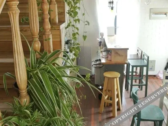 Цзясинь: Letter Coffee Homestay (located in Xitang Scenic Area)