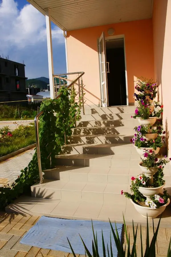Сочи: Edelveis Guest House