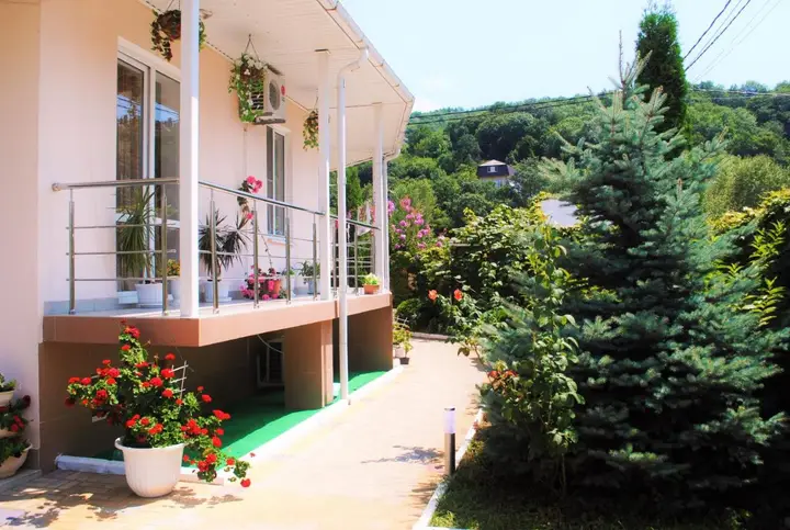 Сочи: Edelveis Guest House