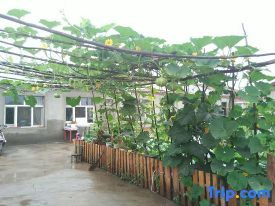Бэйцзи: Artic Village Yujiangchun Farmer's House