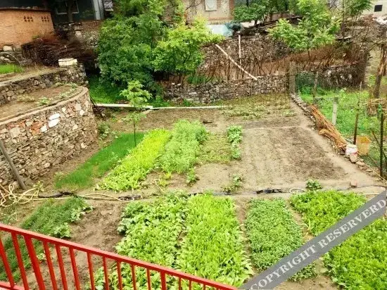 Пекин: Shidu Longxiang Farmstay