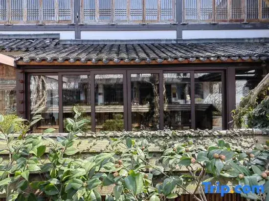 Ханчжоу: Hangzhou Shusheng Longjing Hotel