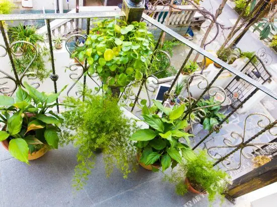 Ханчжоу: Hangzhou Yueshu Homestay (Xihu Zhejiang University)