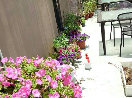 Houlai Inn — фото 1