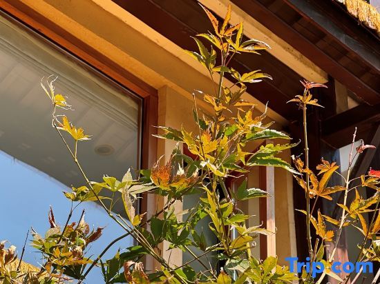 Ханчжоу: Xianqingshan Homestay (Xihu Qingzhiwu)