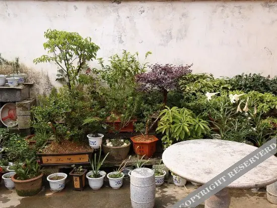 Хуаншань: Shendu Lvyuan Farmhouse