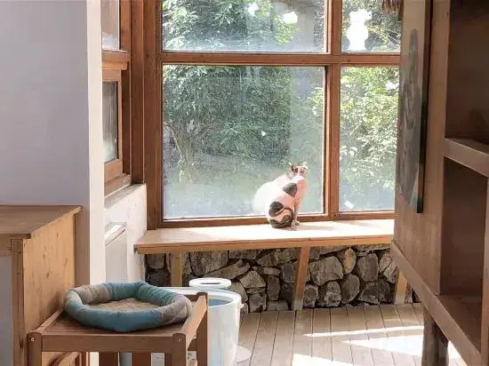 Хучжоу: Moganshan Muddlehead's Pet Theme B&B
