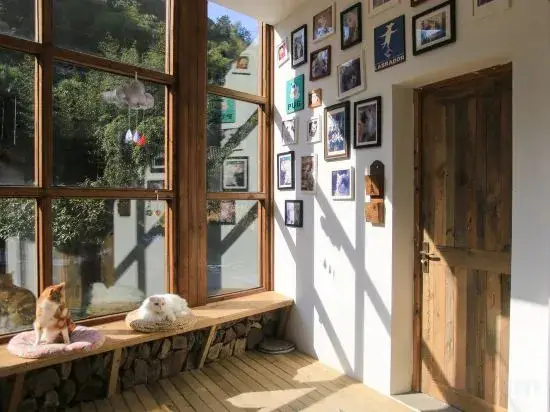 Moganshan Muddlehead's Pet Theme B&B — фото 1