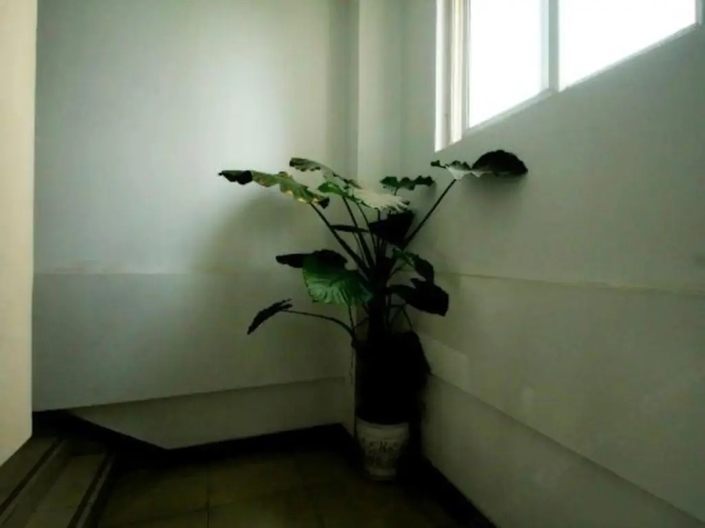 Шанхай: Jiajian Hostel