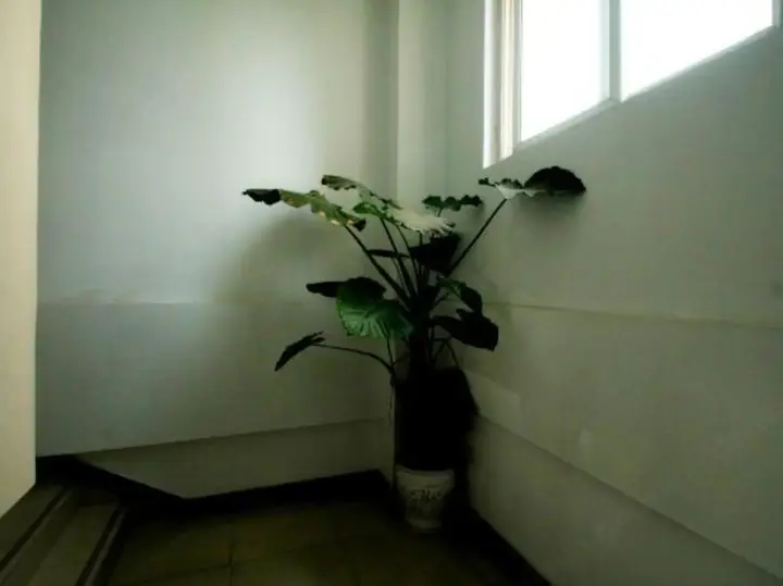 Шанхай: Jiajian Hostel