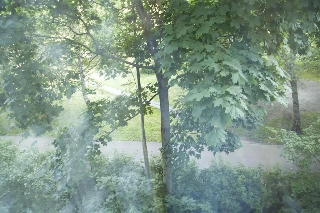 Москва: Window to the garden