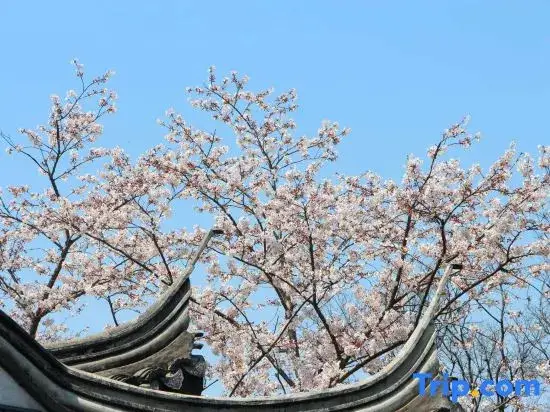 Уси: Scholars Boutique Hotel(Wuxi Xuntang Old Town)
