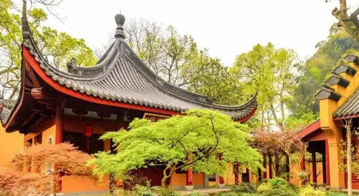 Ханчжоу: HanTing Hotel (Hangzhou Xihu Longjing Road)