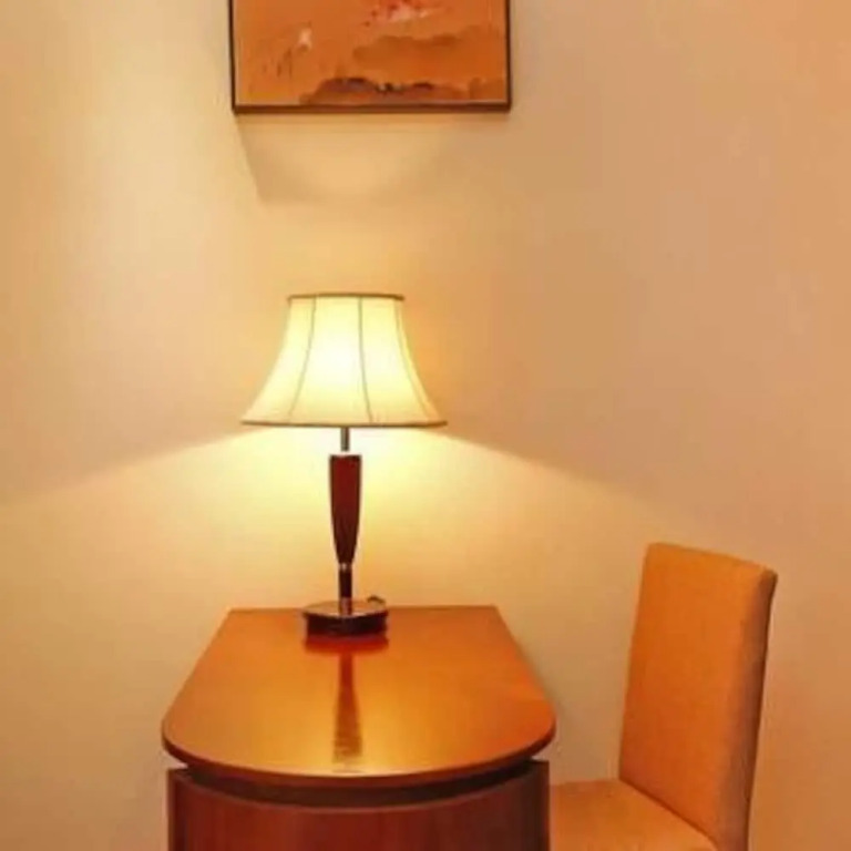 Шэньчжэнь: City Comfort Inn