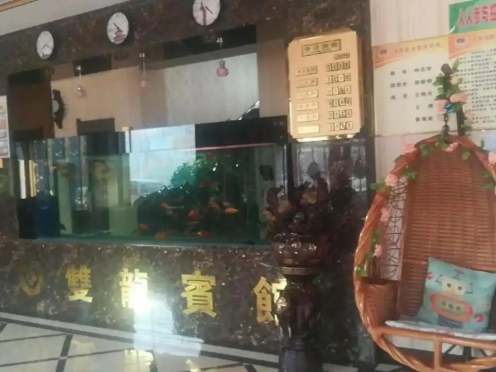 Цицикар: Shuang Long Hotel