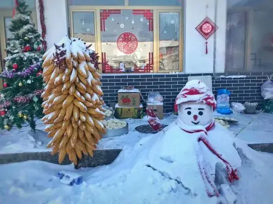 Цзилинь: Jilin Wu Song Dao Jia Xin Hostel