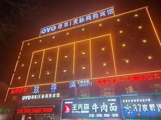 Урумчи: Tianmai Business Hotel (Urumqi South Railway Station Branch)