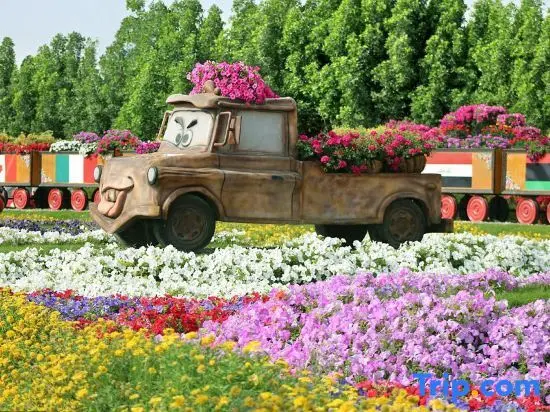 Синьюй: Color Village Resort Hotel