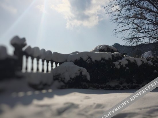 Ханчжоу: Artocarpus Guest House