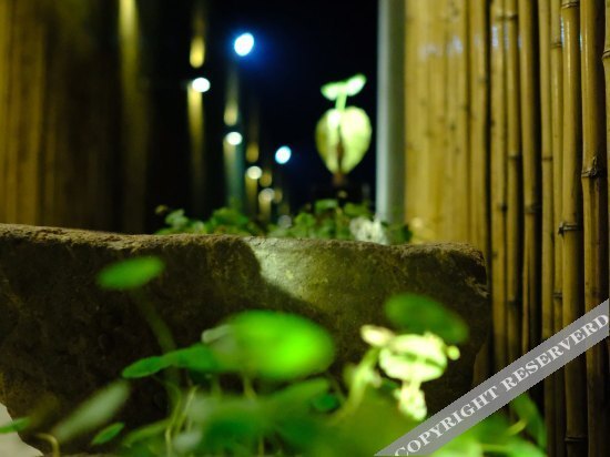 Artocarpus Guest House — фото 1