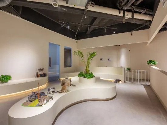 Циньхуандао: Beidaihe Yuehua Hotel(Tiger Stone Bath Shop)