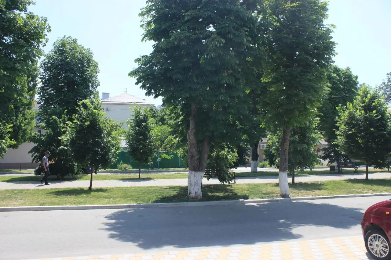 Анапа: Гостевой дом Атлант