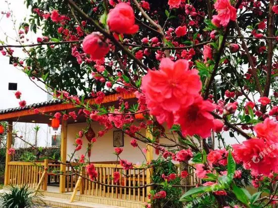 Yangshuo Xiangui Manor (Yulong River Scenic Area) — фото 1
