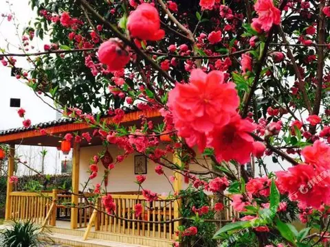 Yangshuo Xiangui Manor (Yulong River Scenic Area) — фото 1