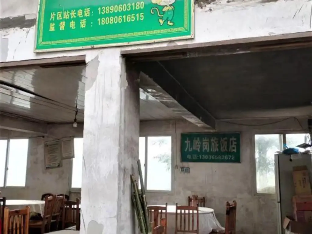 Лешан: Jiuling Ganglv Hotel