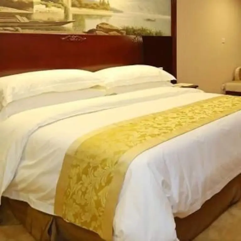 Чанша: Vienna Hotel (Changsha County Haide Park)