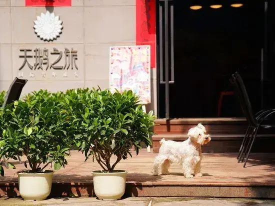 Чанша: Tian'e zhilv International Youth Hostel