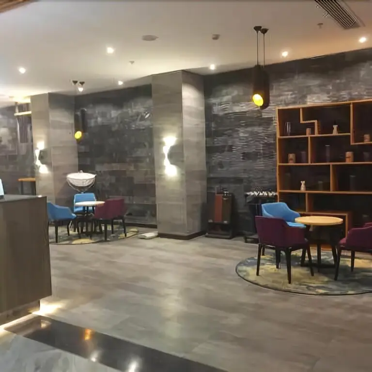 Шанхай: Shenggao Hotel Shanghai Disneyland Park Branch