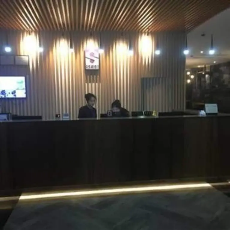 Шанхай: Shenggao Hotel Shanghai Disneyland Park Branch