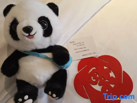 Чэнду: Chengdu Prolit Hotel