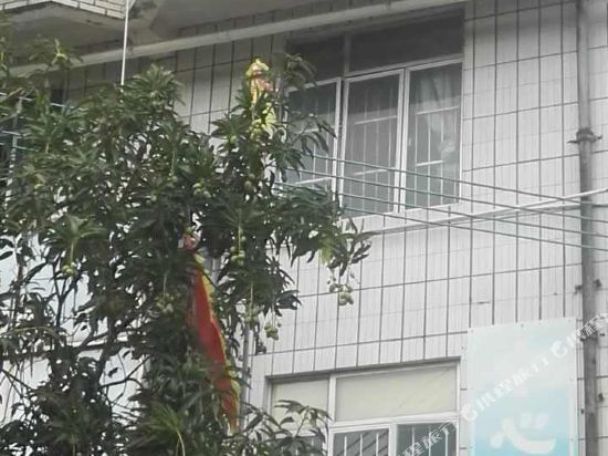 Чжухай: Cuihua Hotel, Wailingding Zhuhai