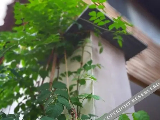 Ханчжоу: The Nine Boutique Hostel