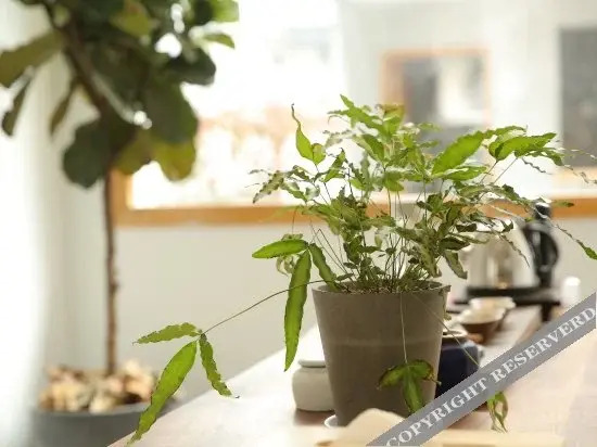 Ханчжоу: The Nine Boutique Hostel