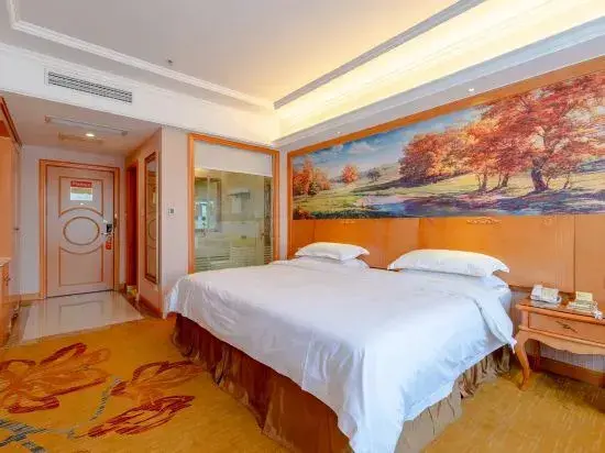 Хуанган: Vienna Hotel (Macheng Cultural Town)