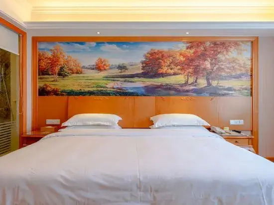 Хуанган: Vienna Hotel (Macheng Cultural Town)
