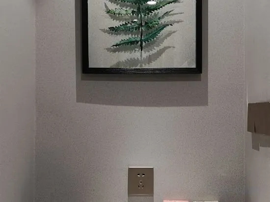 Шицзячжуан: Tianzi Boutique Hotel (Shijiazhuang Provincial Museum Guang'an Street)