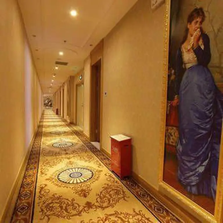 Шэньчжэнь: Vienna 3 Best Hotel