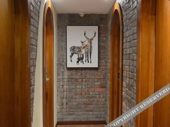 Чунцин: RuShan-YunYe Sunshin-Light luxury homestay(Fairy Mountain Tourist Center Store)