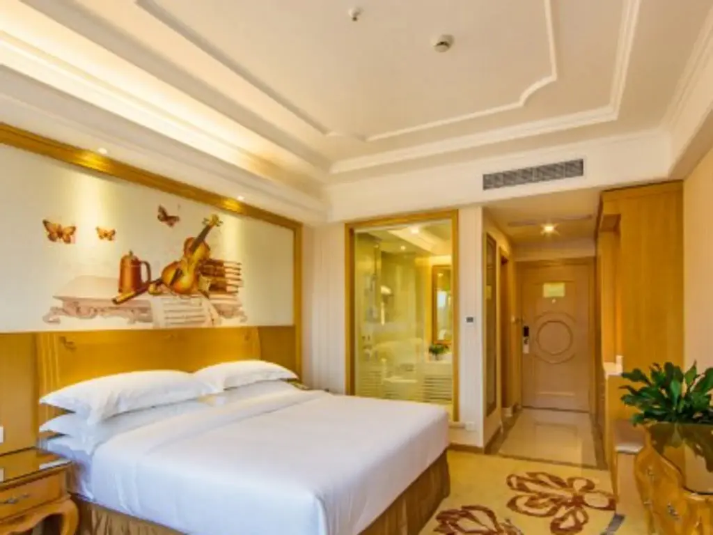Наньпин: Vienna International Hotel (Mount Wuyi Impression Dahongpao)