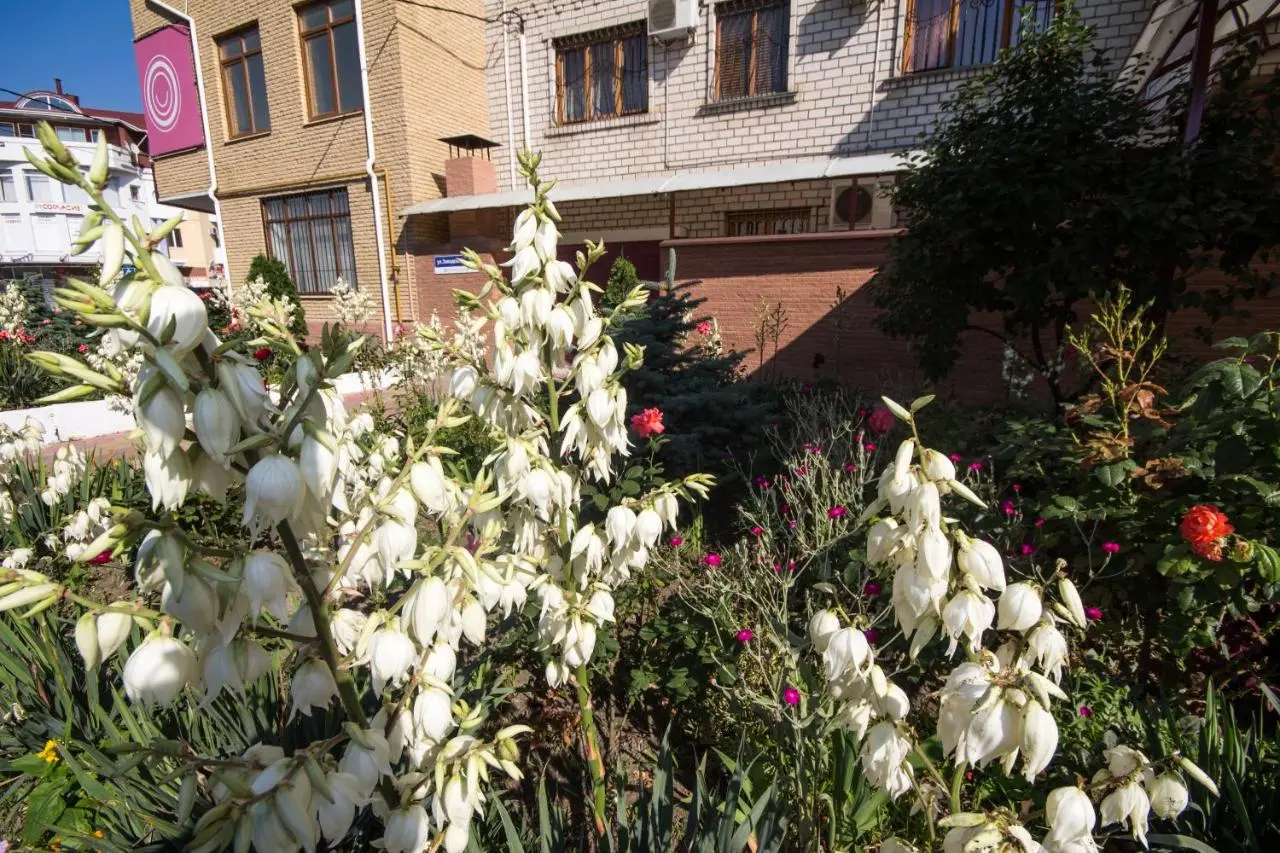 Витязево: Katalonia